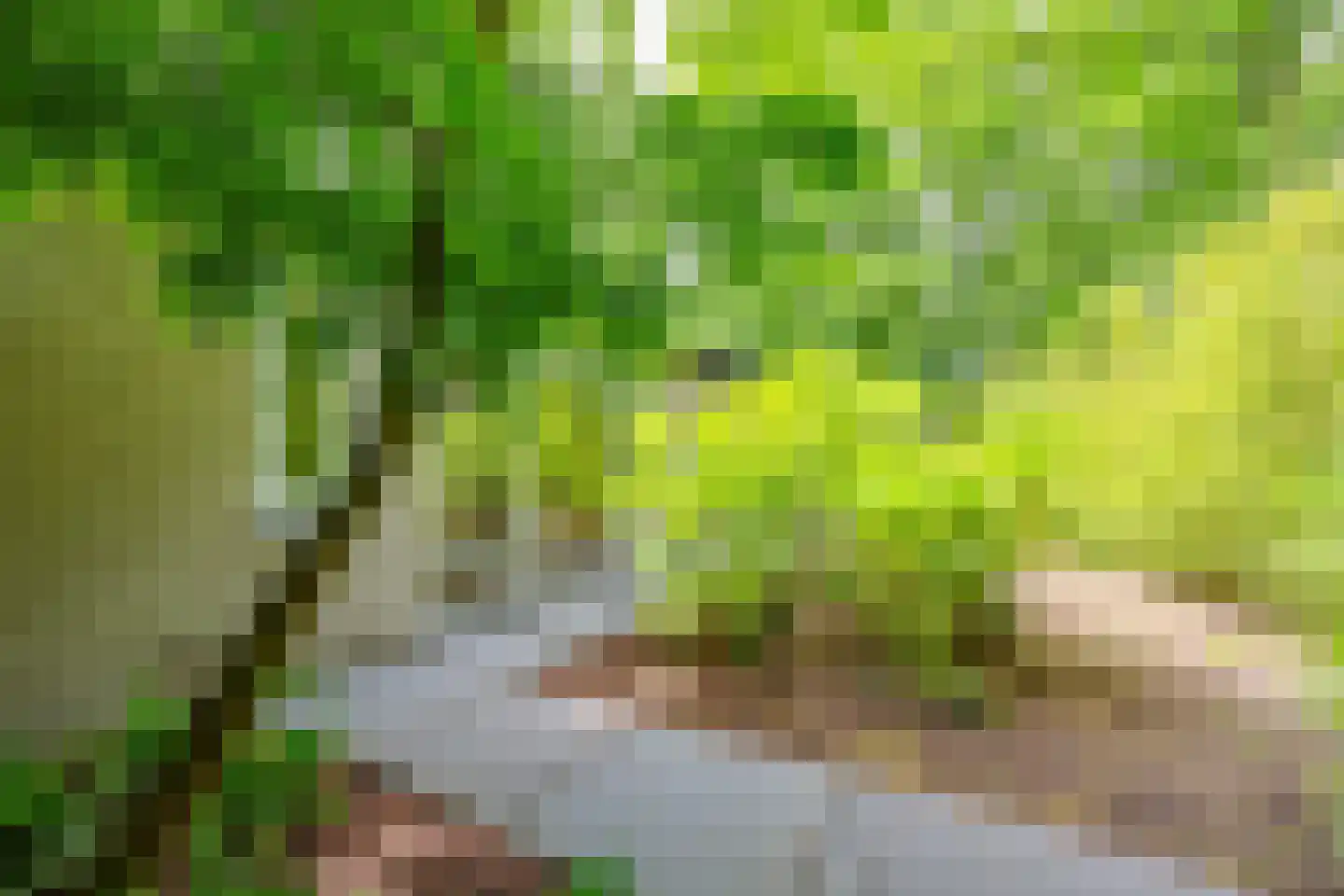 Sterreboslaan 13 Huizen thumbnail 37