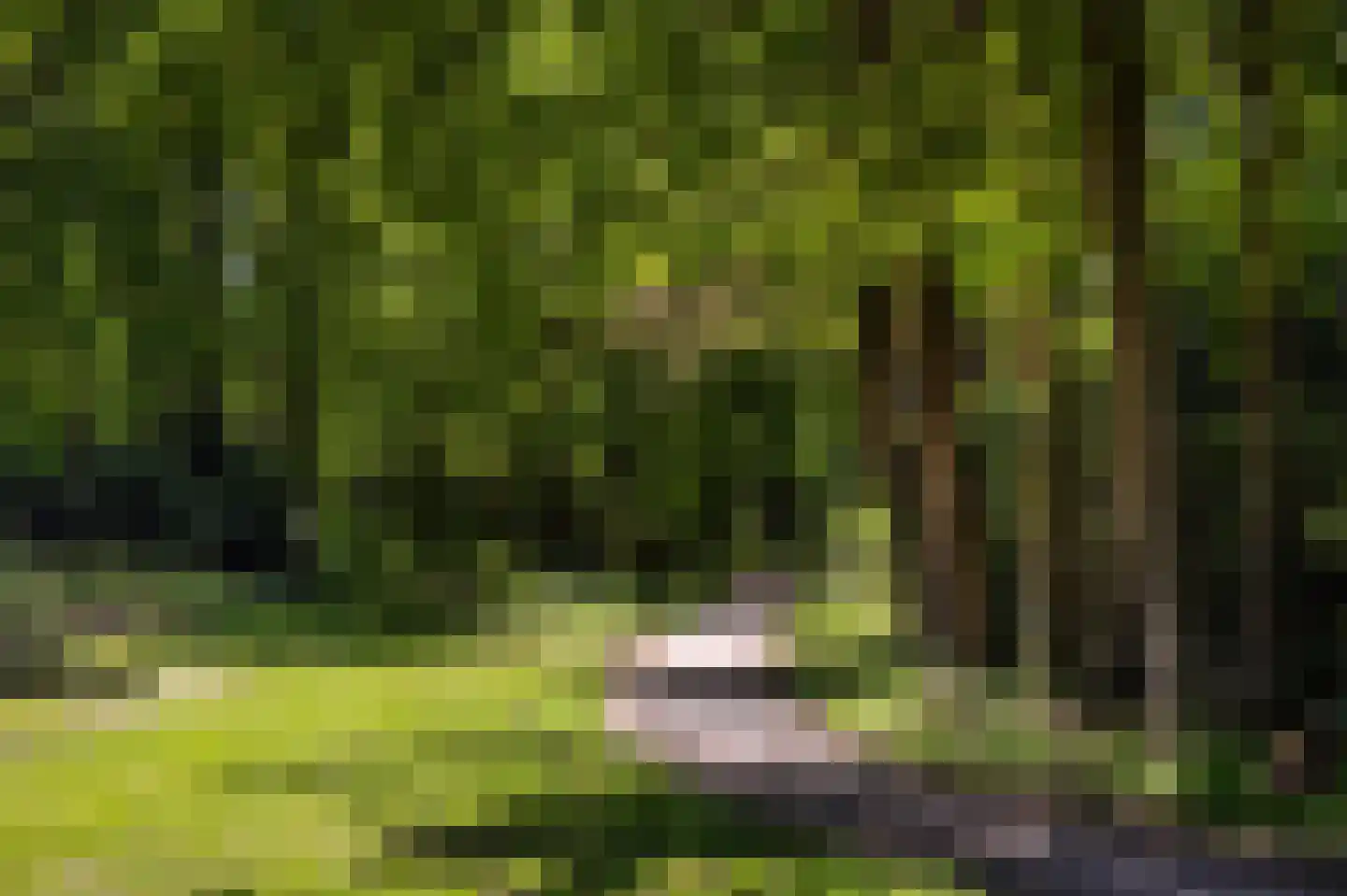Sterreboslaan 13 Huizen thumbnail 39
