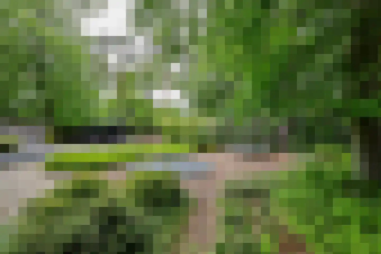 Sterreboslaan 13 Huizen thumbnail 4