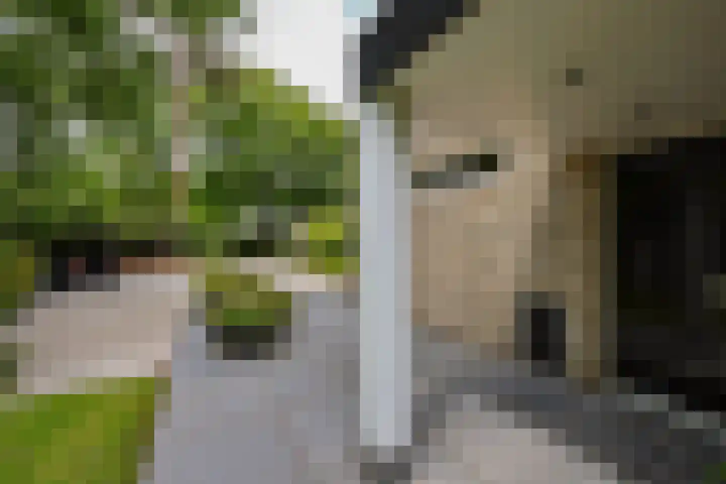 Sterreboslaan 13 Huizen thumbnail 5