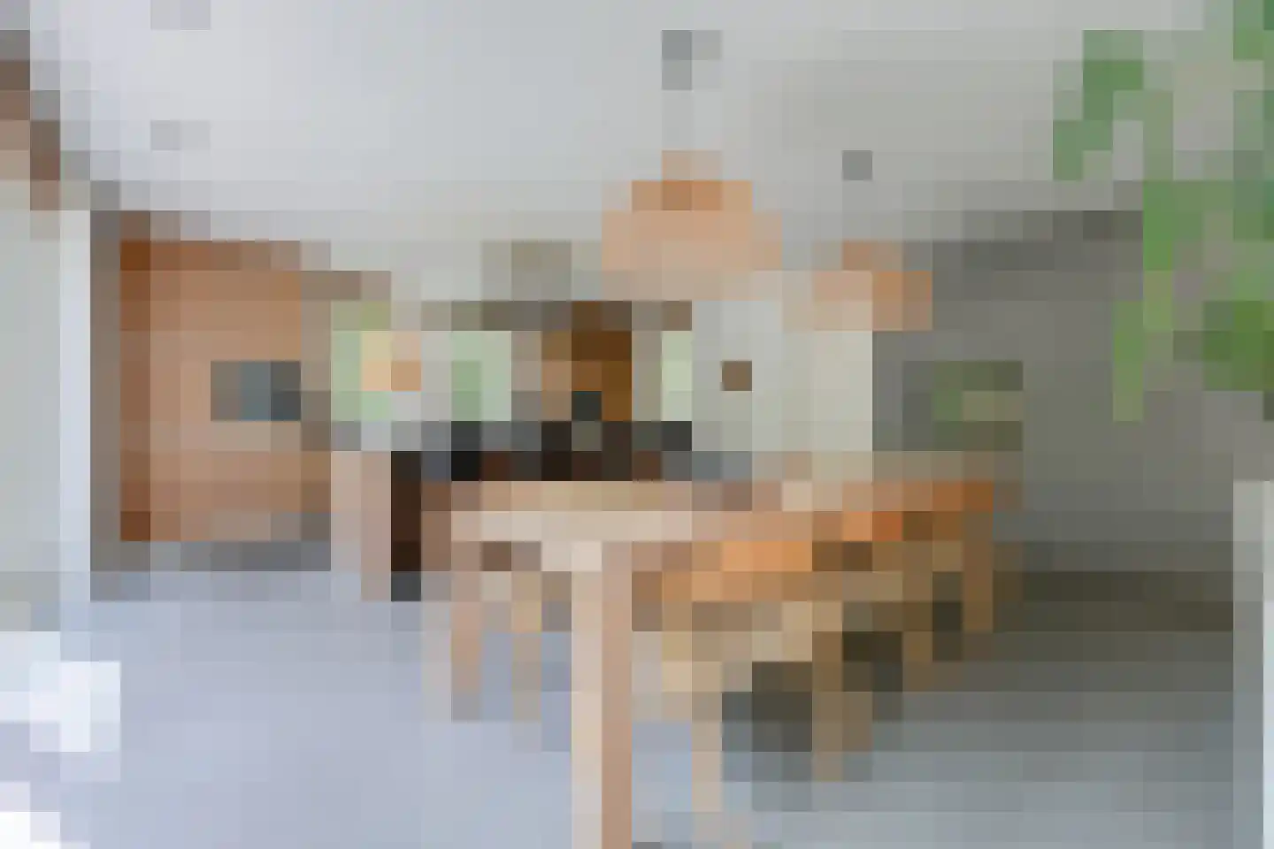 Sterreboslaan 13 Huizen thumbnail 8