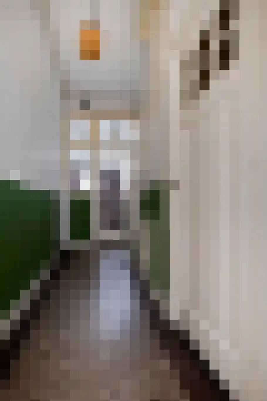 Sterrebosstraat 14 Groningen thumbnail 12