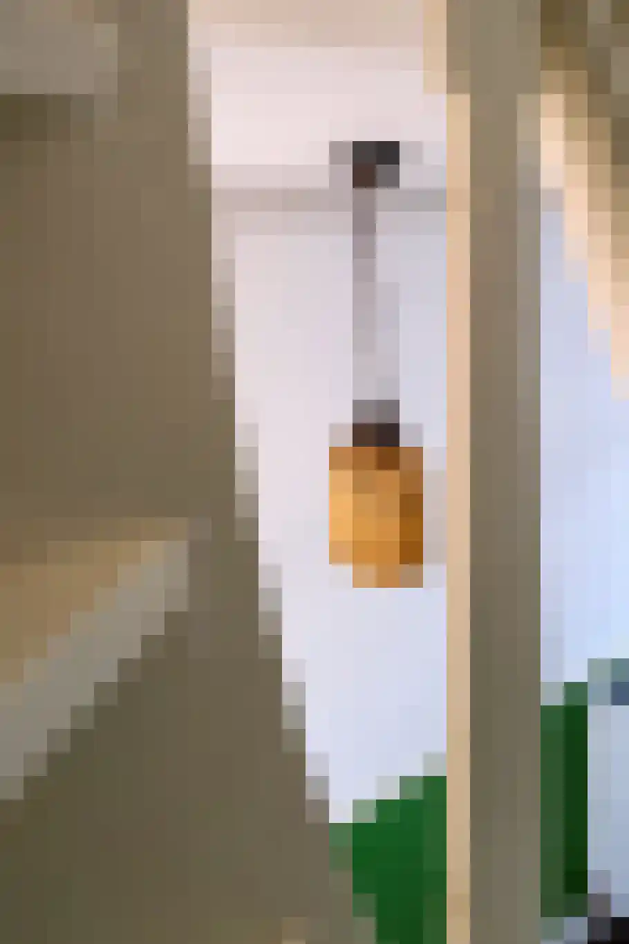 Sterrebosstraat 14 Groningen thumbnail 13