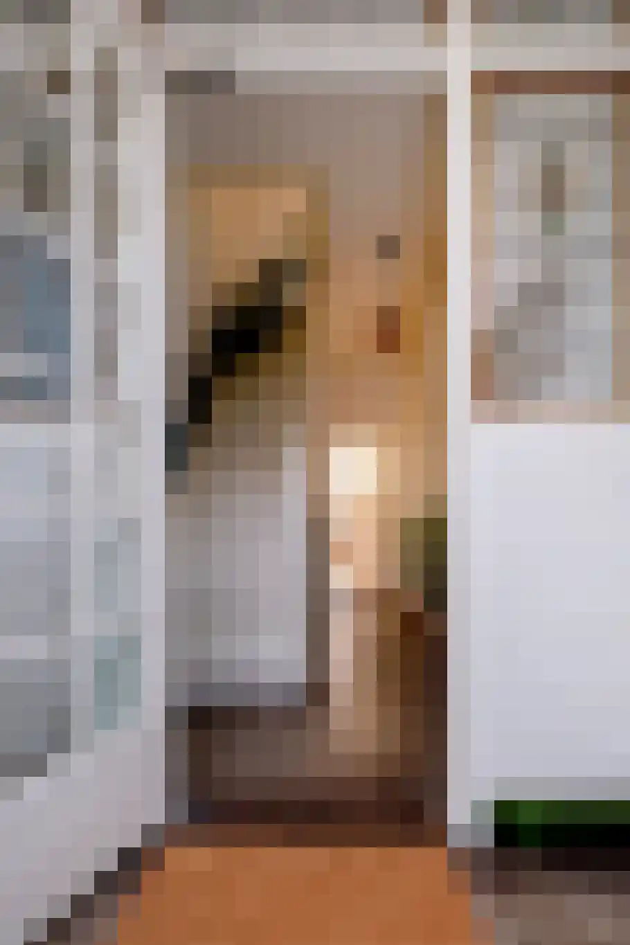 Sterrebosstraat 14 Groningen thumbnail 20