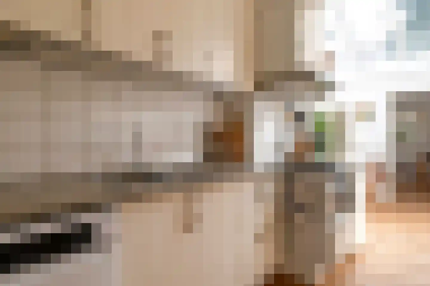 Sterrebosstraat 14 Groningen thumbnail 35