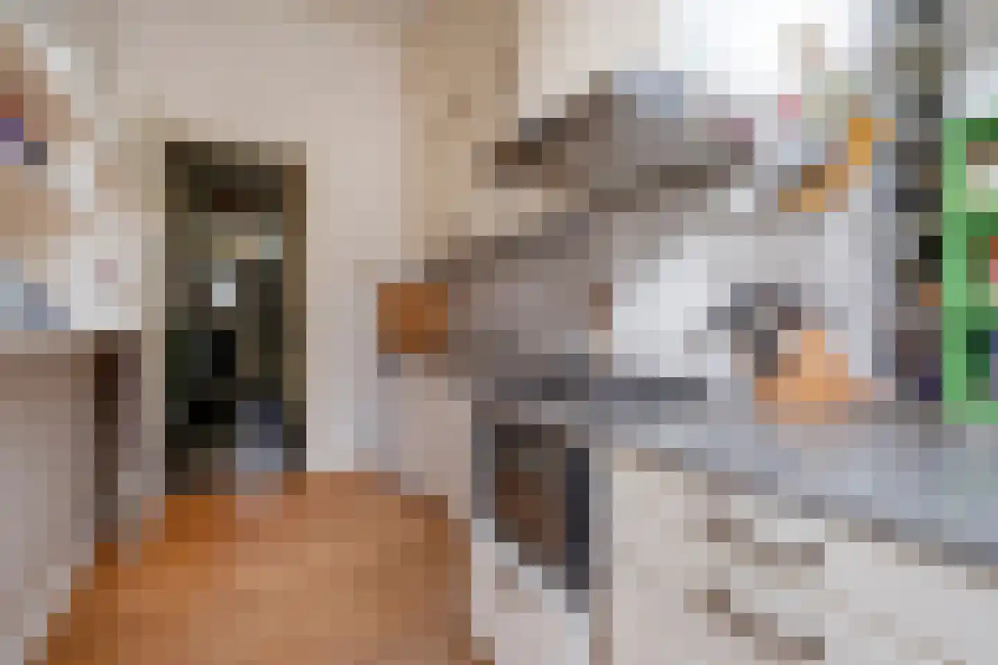 Sterrebosstraat 14 Groningen thumbnail 38