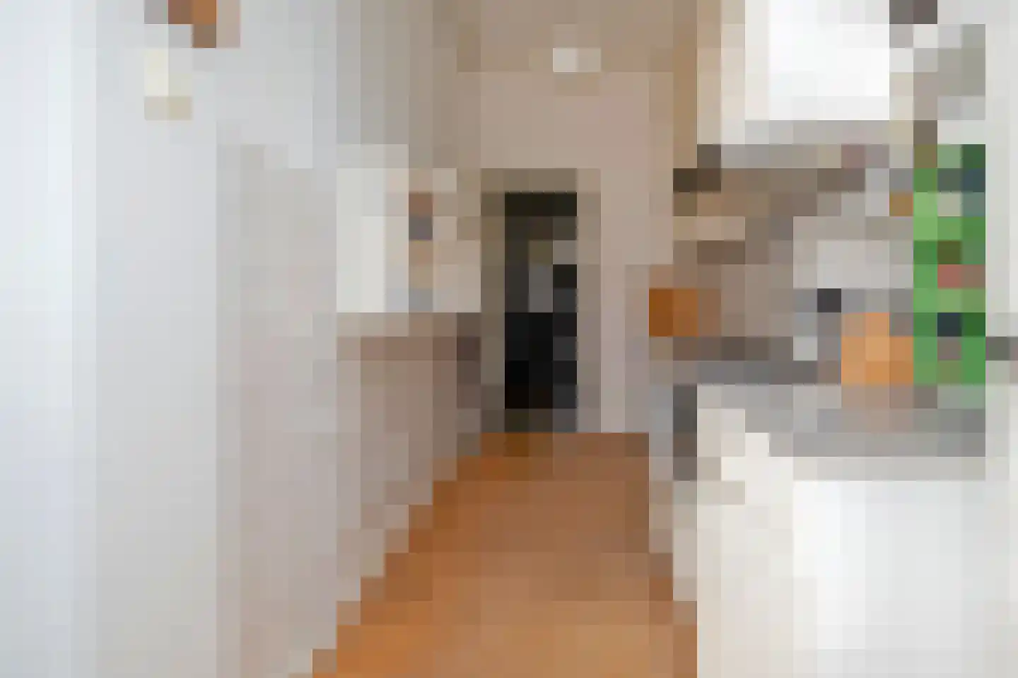 Sterrebosstraat 14 Groningen thumbnail 39