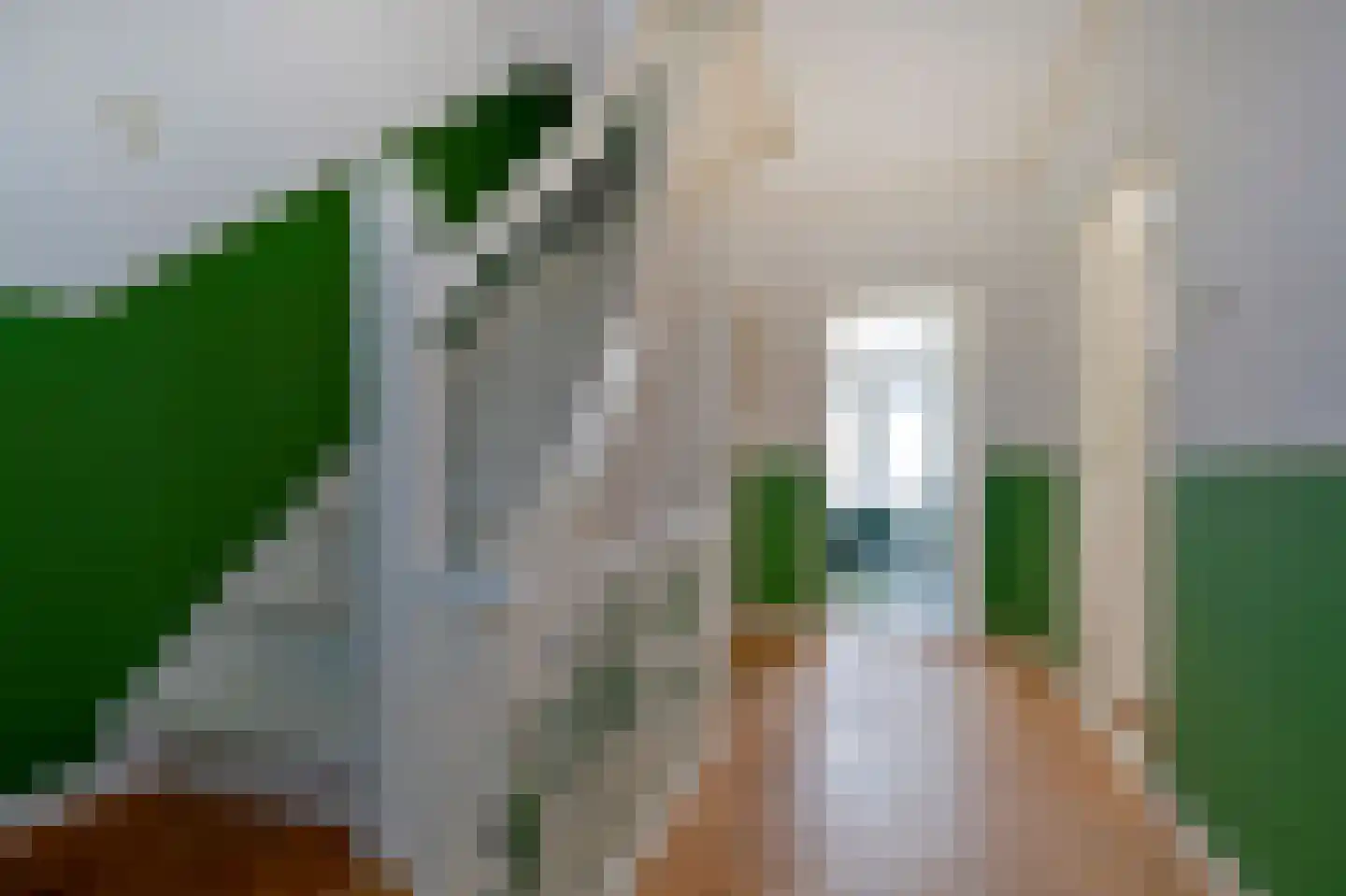 Sterrebosstraat 14 Groningen thumbnail 42