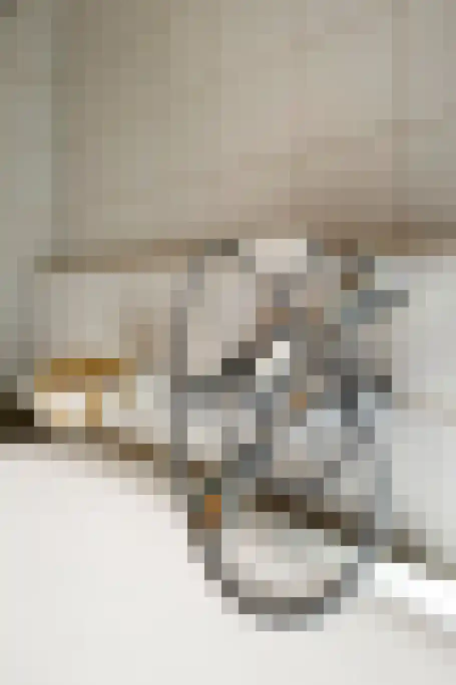 Sterrebosstraat 14 Groningen thumbnail 54
