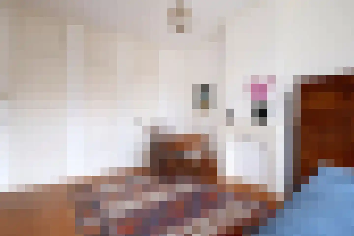 Sterrebosstraat 14 Groningen thumbnail 56