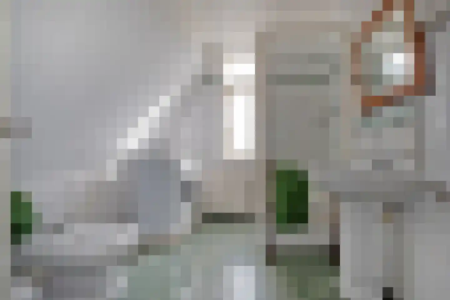 Sterrebosstraat 14 Groningen thumbnail 61