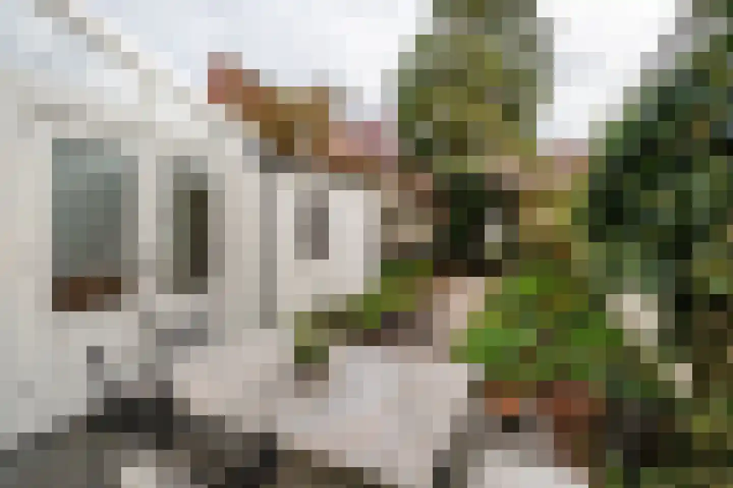 Sterrebosstraat 14 Groningen thumbnail 68