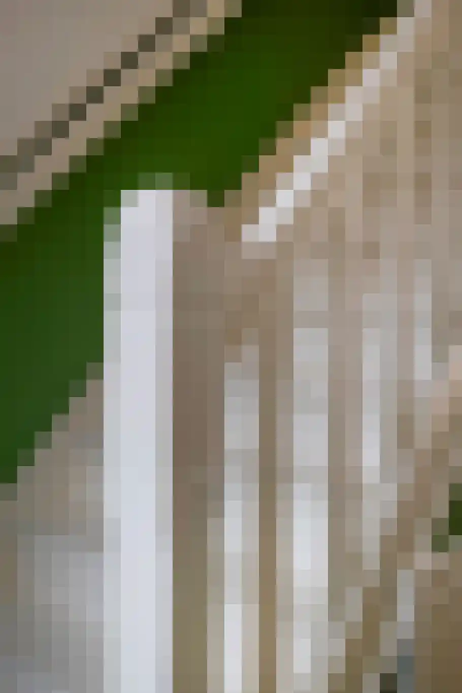 Sterrebosstraat 14 Groningen thumbnail 7