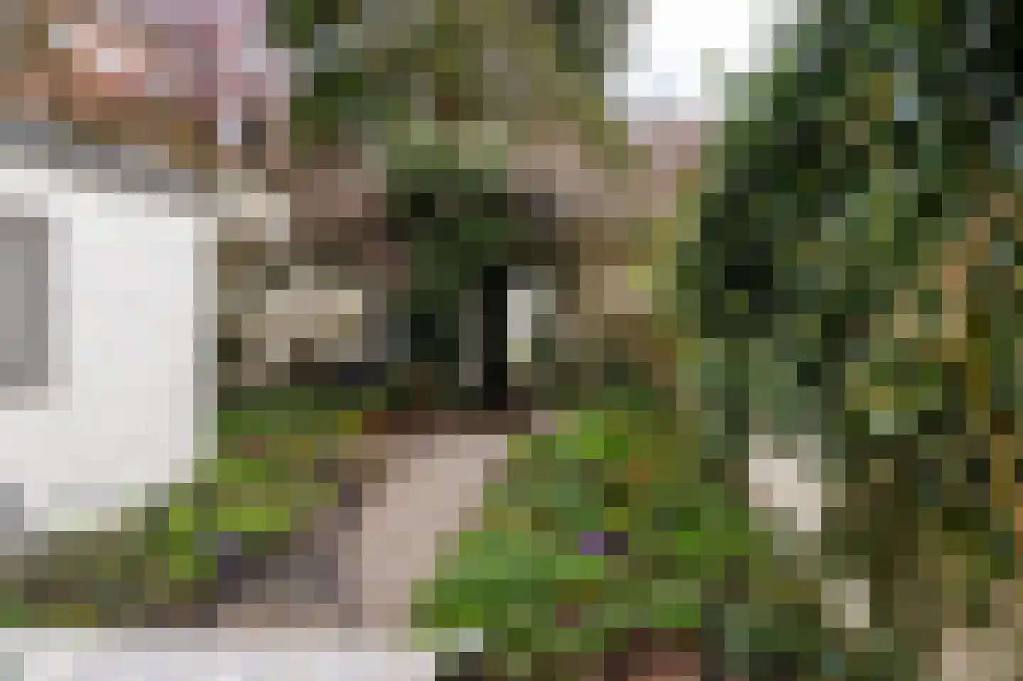 Sterrebosstraat 14 Groningen thumbnail 71