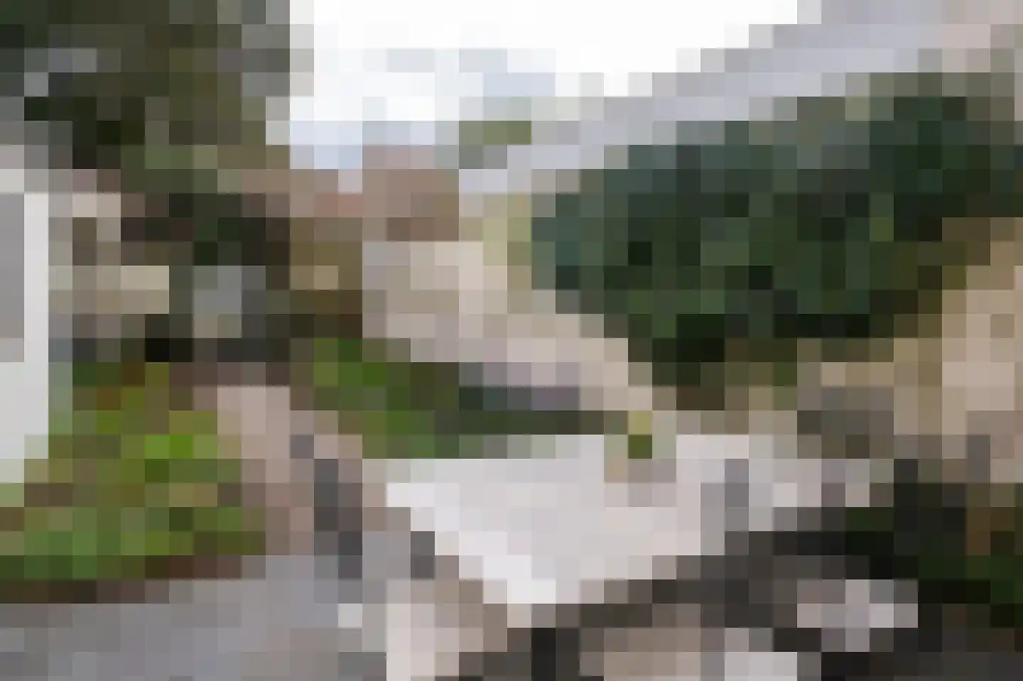 Sterrebosstraat 14 Groningen thumbnail 72
