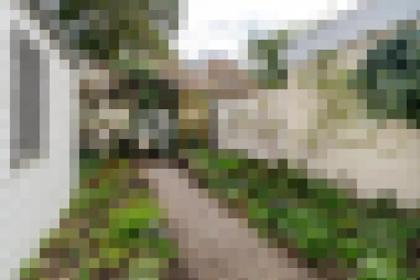 Sterrebosstraat 14 Groningen thumbnail 73