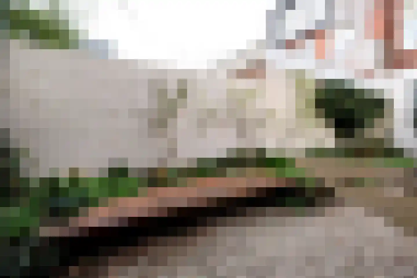 Sterrebosstraat 14 Groningen thumbnail 76