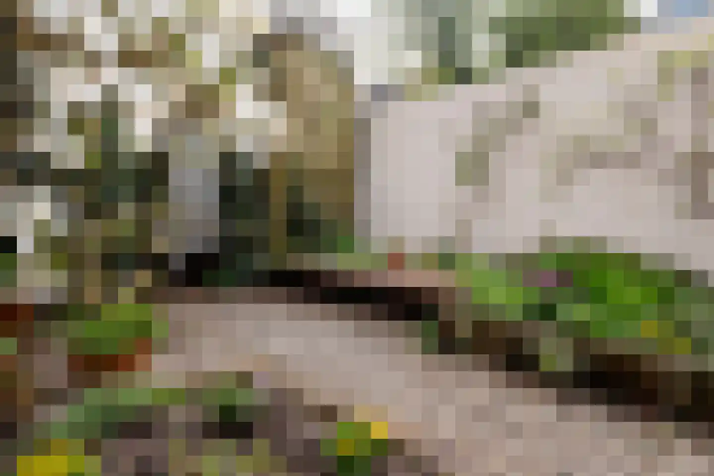 Sterrebosstraat 14 Groningen thumbnail 77