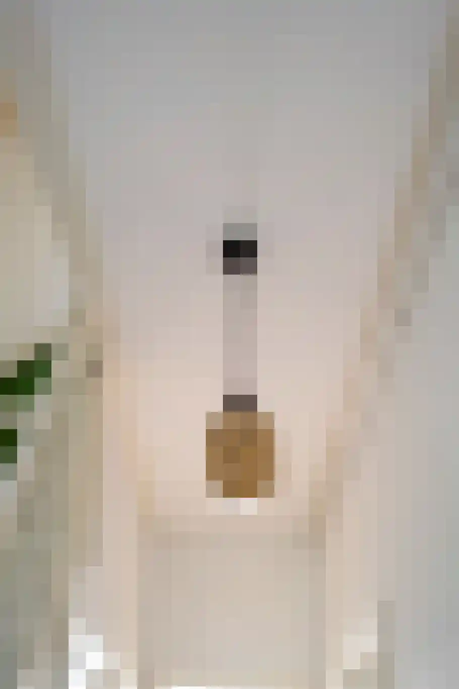 Sterrebosstraat 14 Groningen thumbnail 8