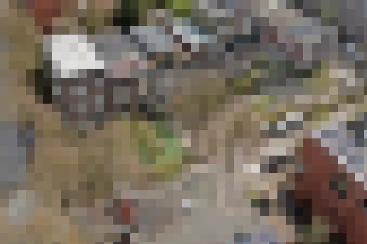 Sterrebosstraat 14 Groningen thumbnail 85