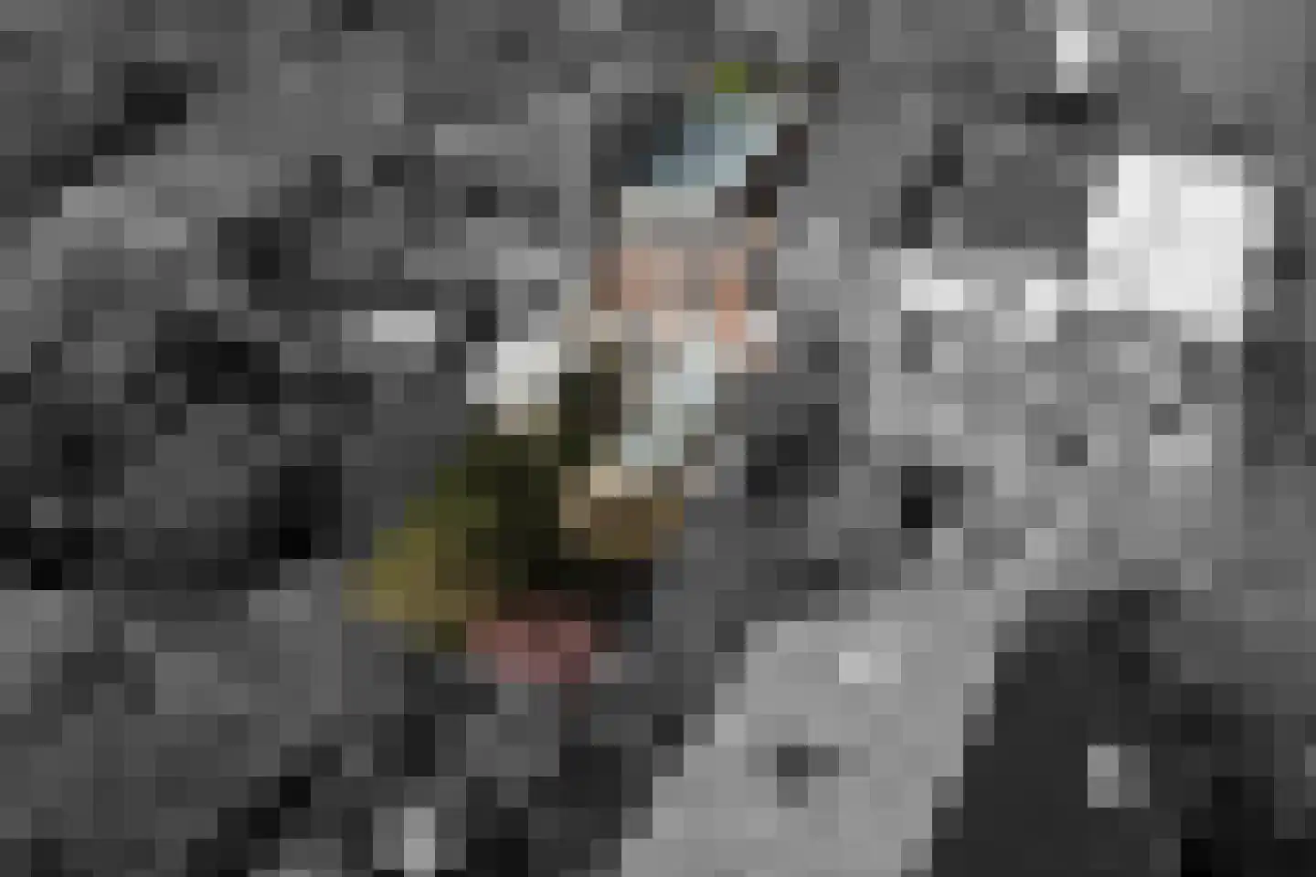 Sterrebosstraat 14 Groningen thumbnail 86
