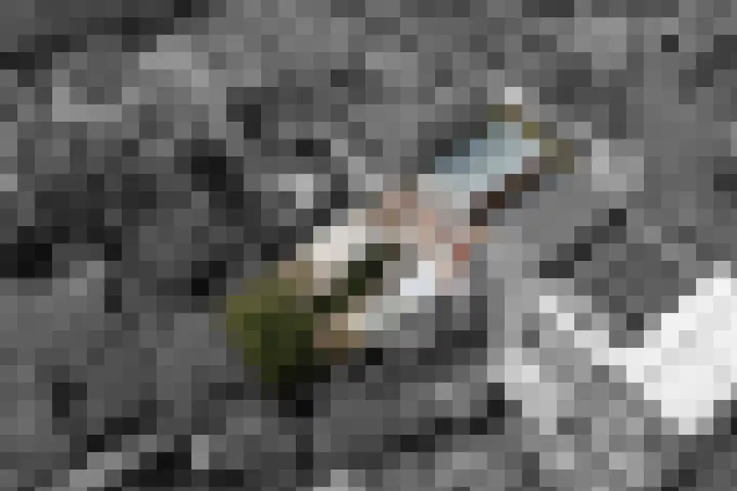 Sterrebosstraat 14 Groningen thumbnail 87