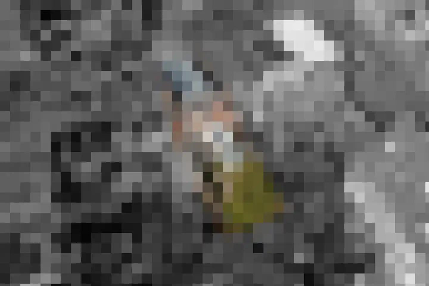Sterrebosstraat 14 Groningen thumbnail 88
