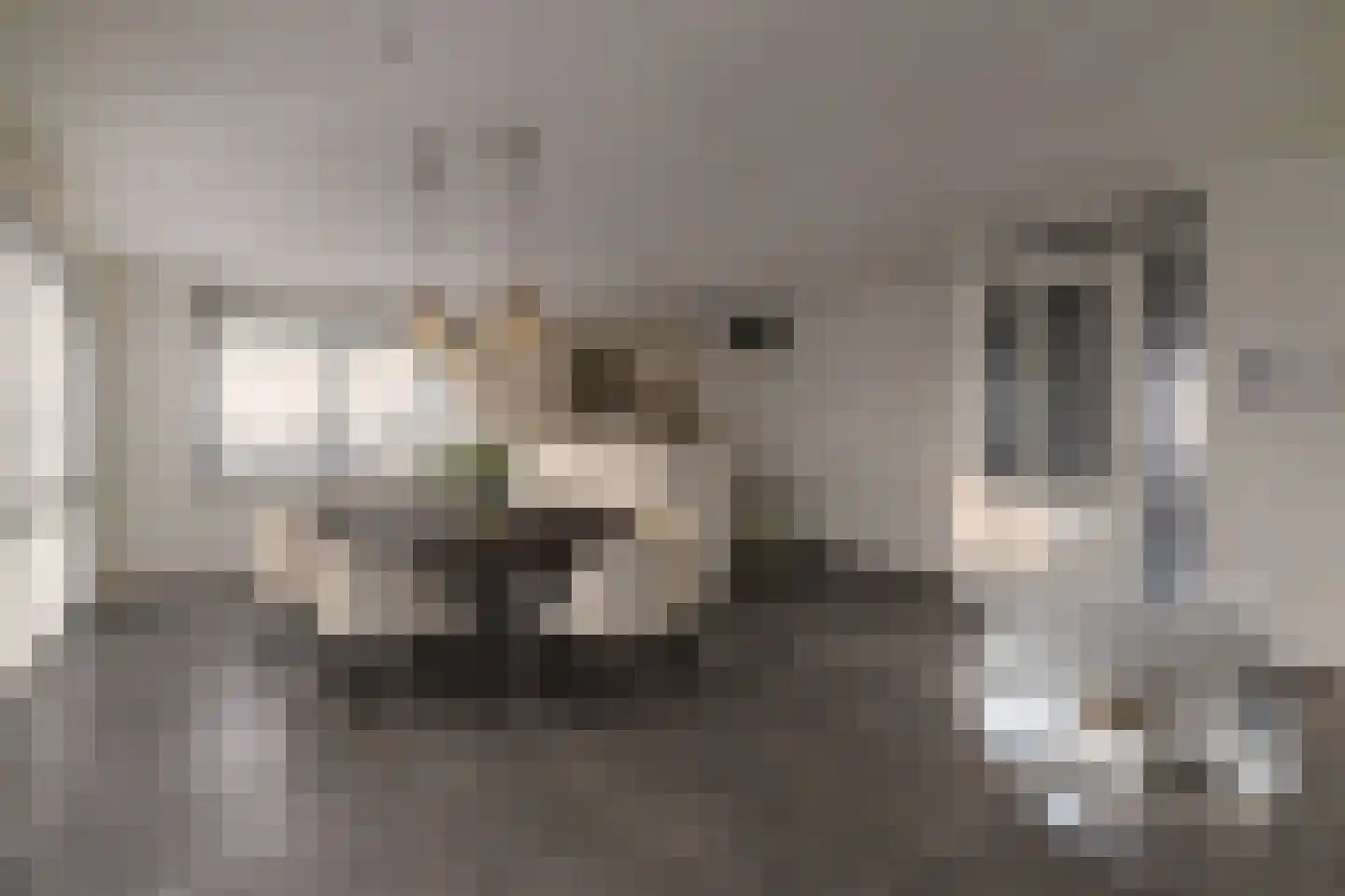 Sterrebosstraat 46 Haaksbergen thumbnail 5