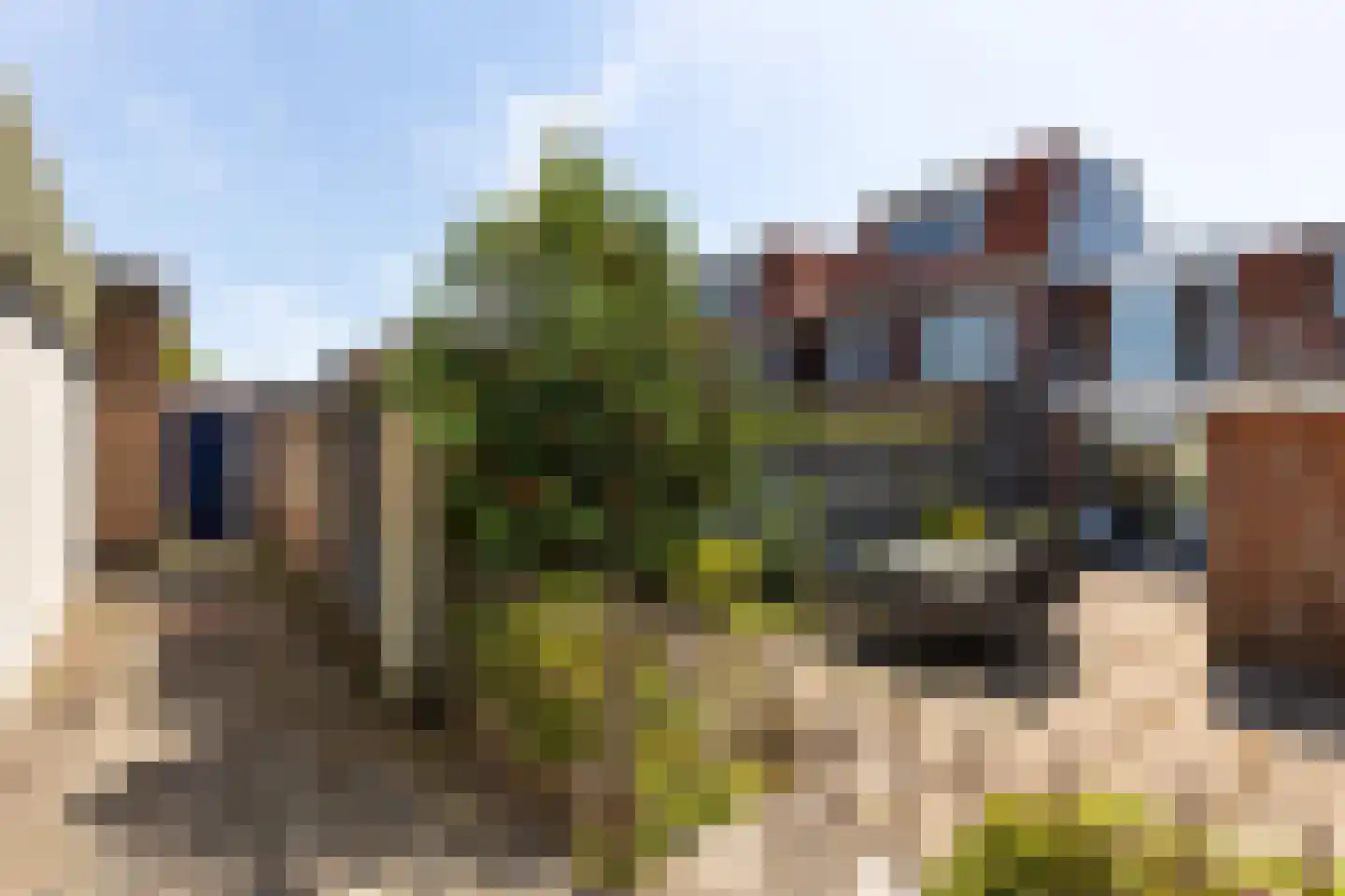 Sterrebosstraat 53 Haarlem thumbnail 26