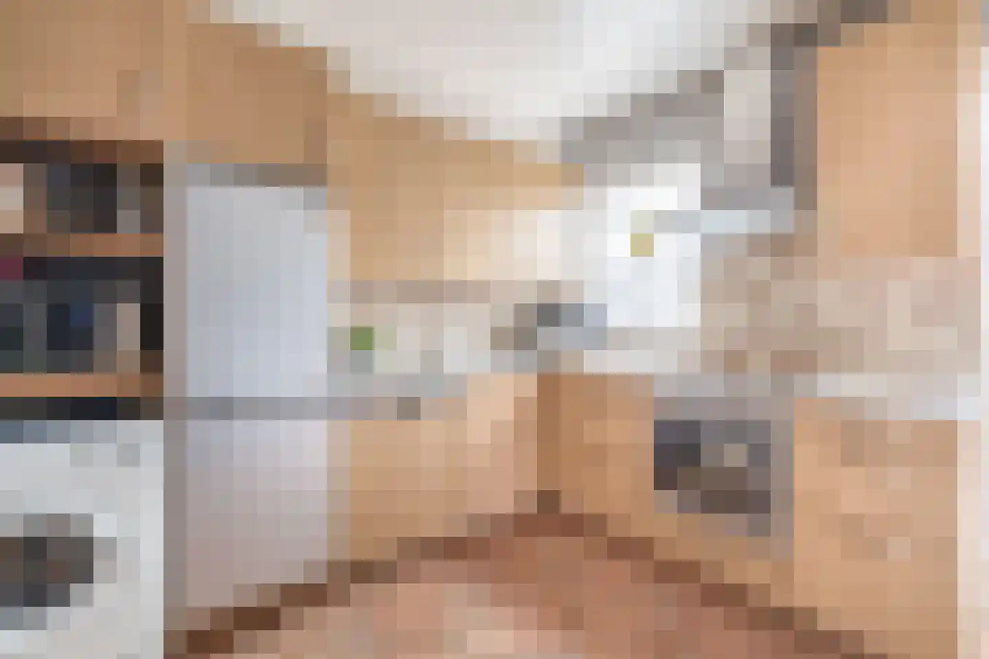 Sterrebosweg 14 Kessel thumbnail 10