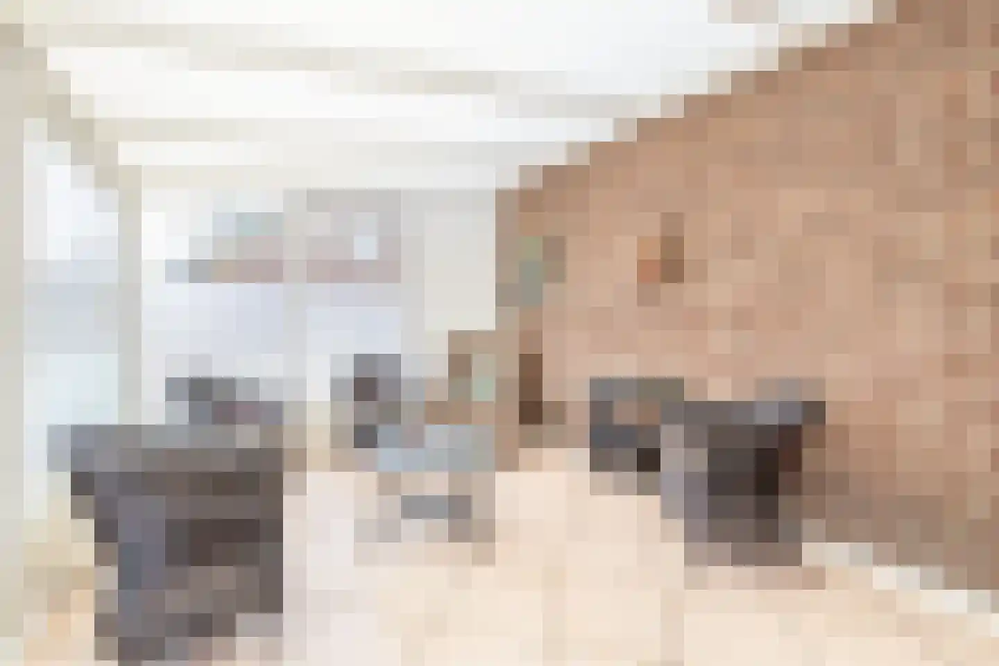 Sterrebosweg 14 Kessel thumbnail 14