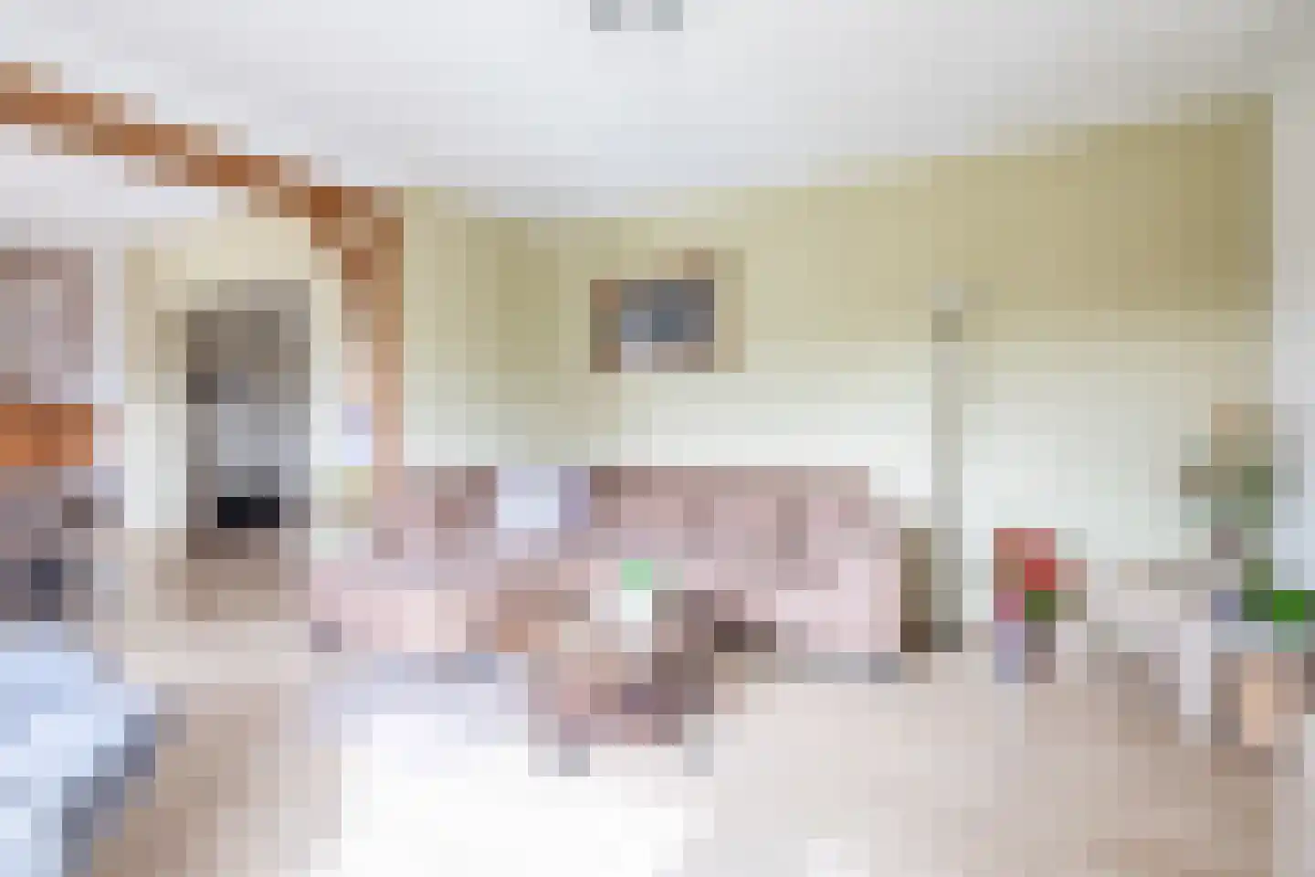Sterrebosweg 14 Kessel thumbnail 6
