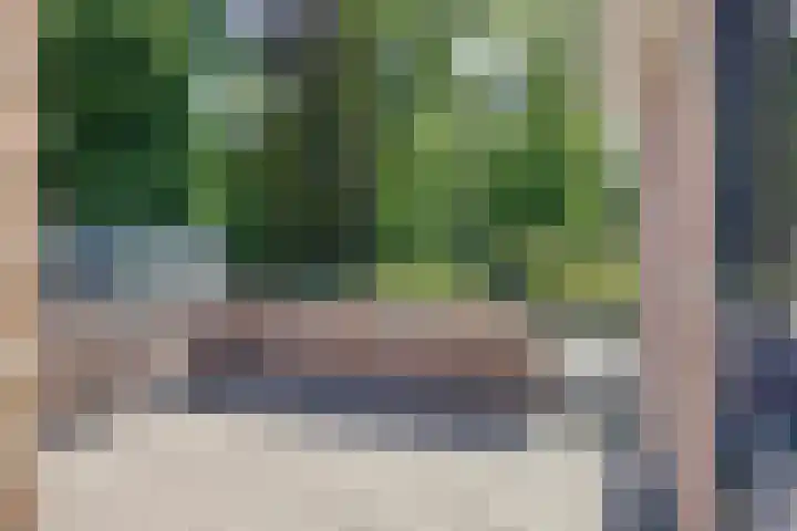 Sterrebosweg 16 Wijchen thumbnail 13