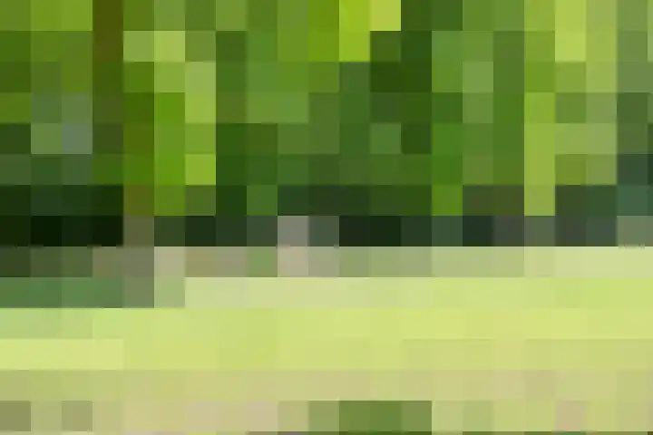Sterrebosweg 16 Wijchen thumbnail 26