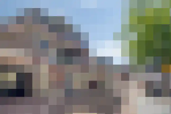 Sterrebosweg 16 Wijchen thumbnail 30