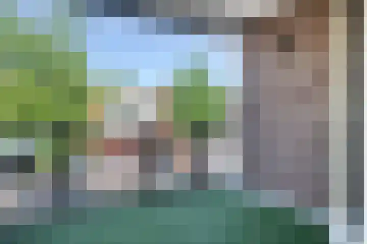 Sterrebosweg 16 Wijchen thumbnail 7