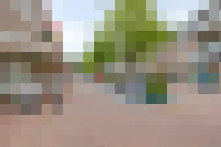 Sterrebosweg 27 Wijchen thumbnail 24