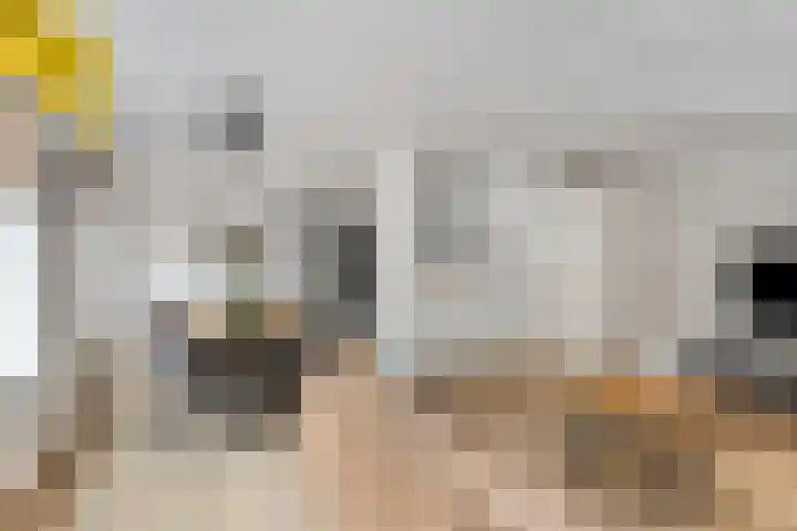 Sterrebosweg 27 Wijchen thumbnail 5