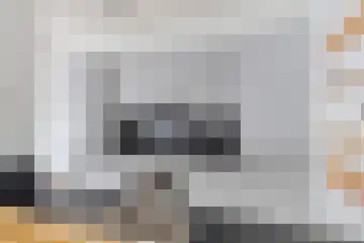 Sterrebosweg 27 Wijchen thumbnail 8
