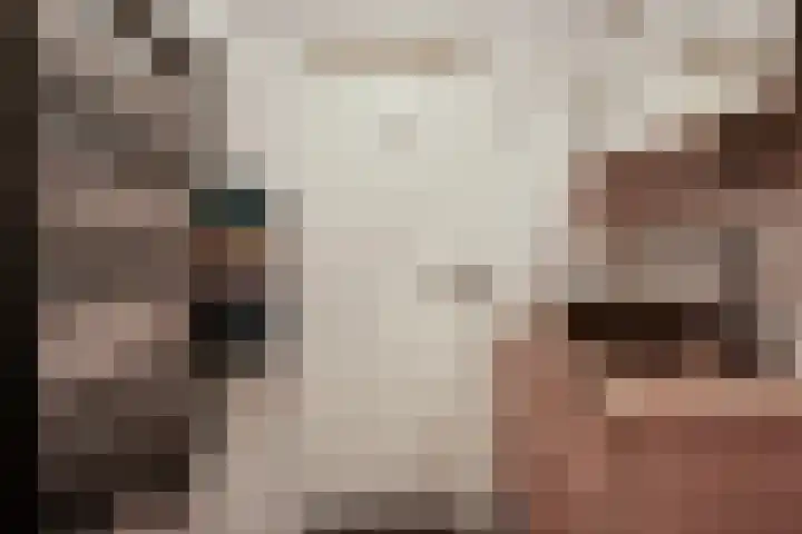 Sterrebosweg 3 C Wijchen thumbnail 20