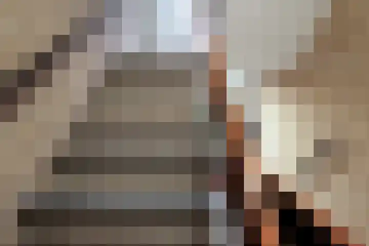 Sterrebosweg 3 C Wijchen thumbnail 26