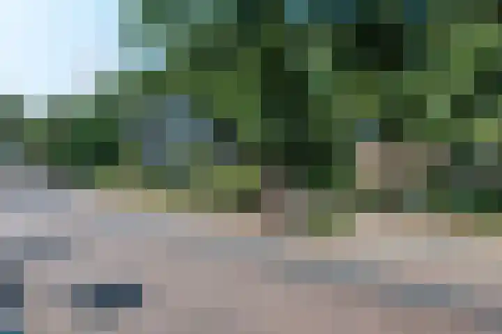 Sterrebosweg 3 C Wijchen thumbnail 31