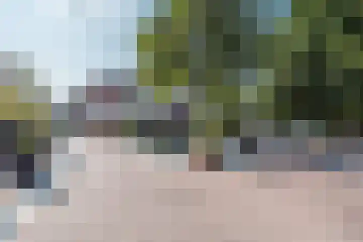 Sterrebosweg 3 C Wijchen thumbnail 32