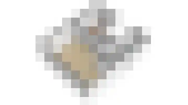Sterrebosweg 3 C Wijchen thumbnail 35