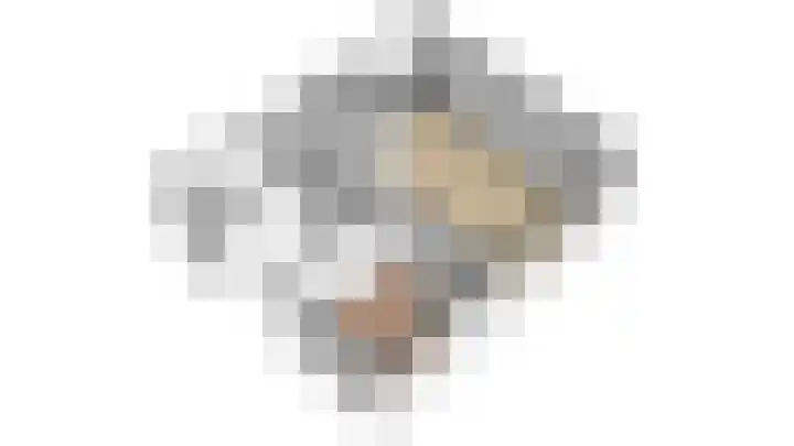 Sterrebosweg 3 C Wijchen thumbnail 36