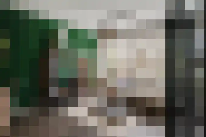 Sterrebosweg 3 C Wijchen thumbnail 5