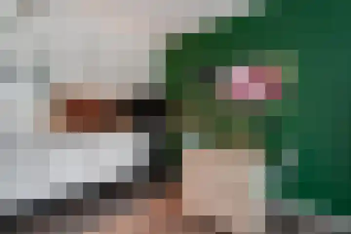 Sterrebosweg 3 C Wijchen thumbnail 6