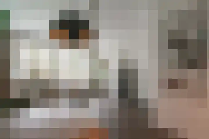 Sterrebosweg 3 C Wijchen thumbnail 9