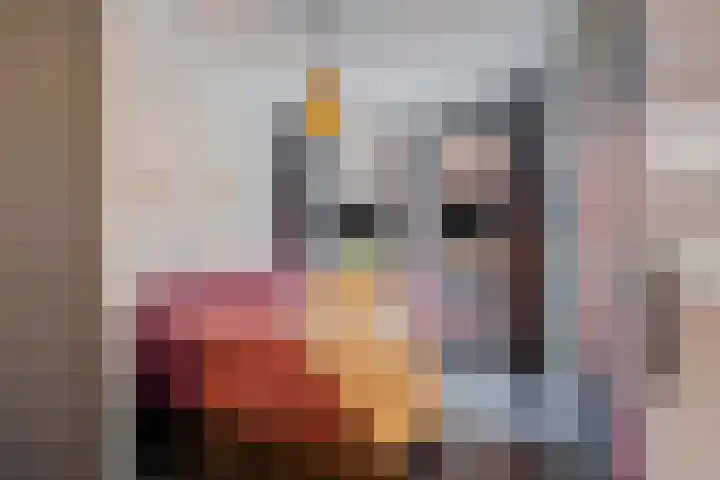 Sterrebosweg 31 Wijchen thumbnail 10