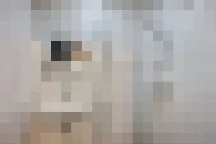 Sterrebosweg 31 Wijchen thumbnail 15